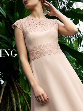 LK Bennett Dr Selene Putty Pink Crepe Lace Dress Sz 10